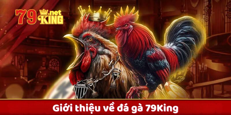 Đá Gà 79King – Sảnh Chơi Đá Gà Trực Tuyến Uy Tín Hàng Đầu